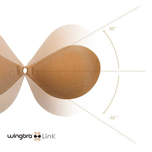 Wingbra link , reinvented wingbra 