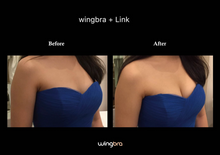 WingBra Professional Kit 👑