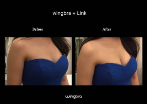 WingBra Professional Kit 👑